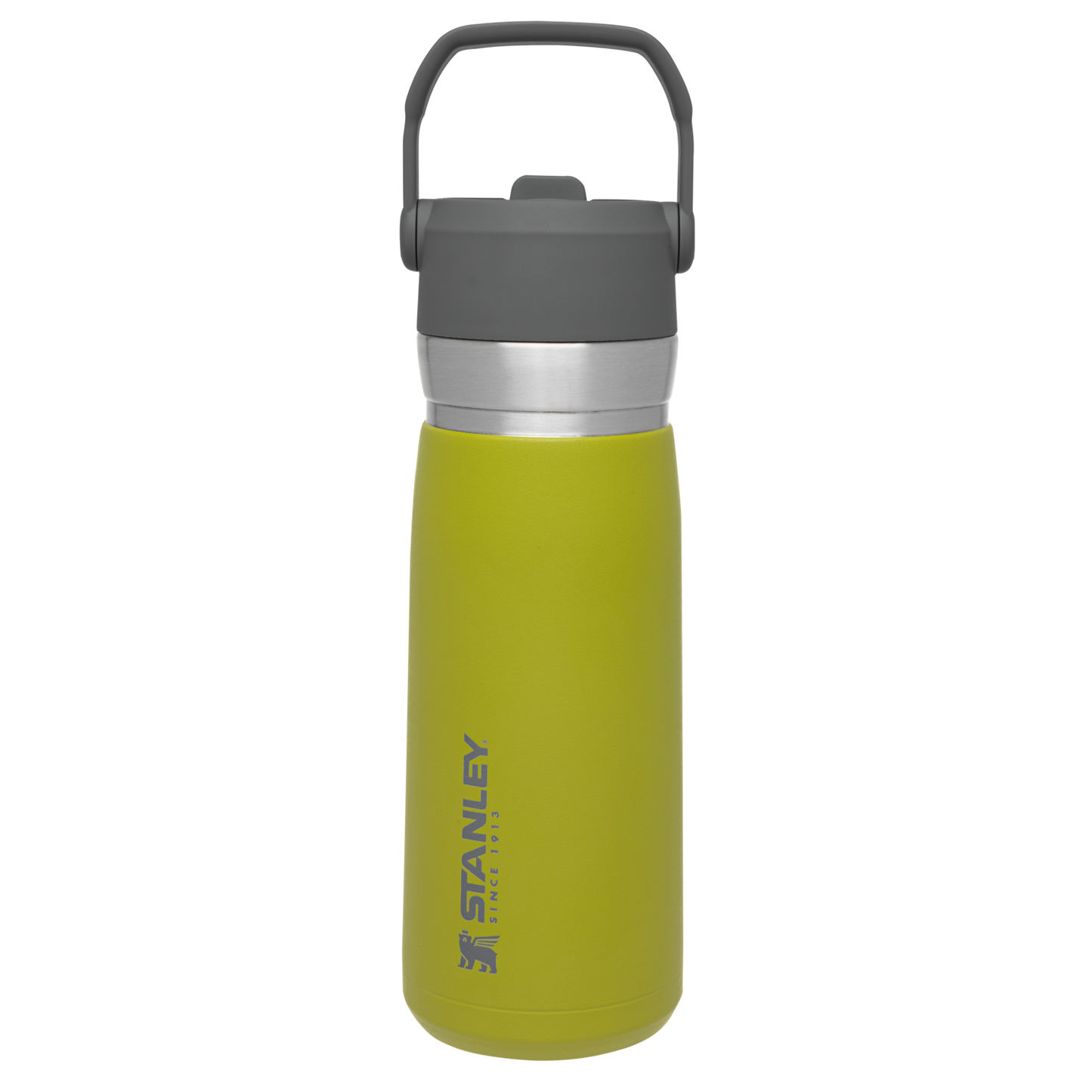 The Go Flip Straw Water Bottle | 22 OZ