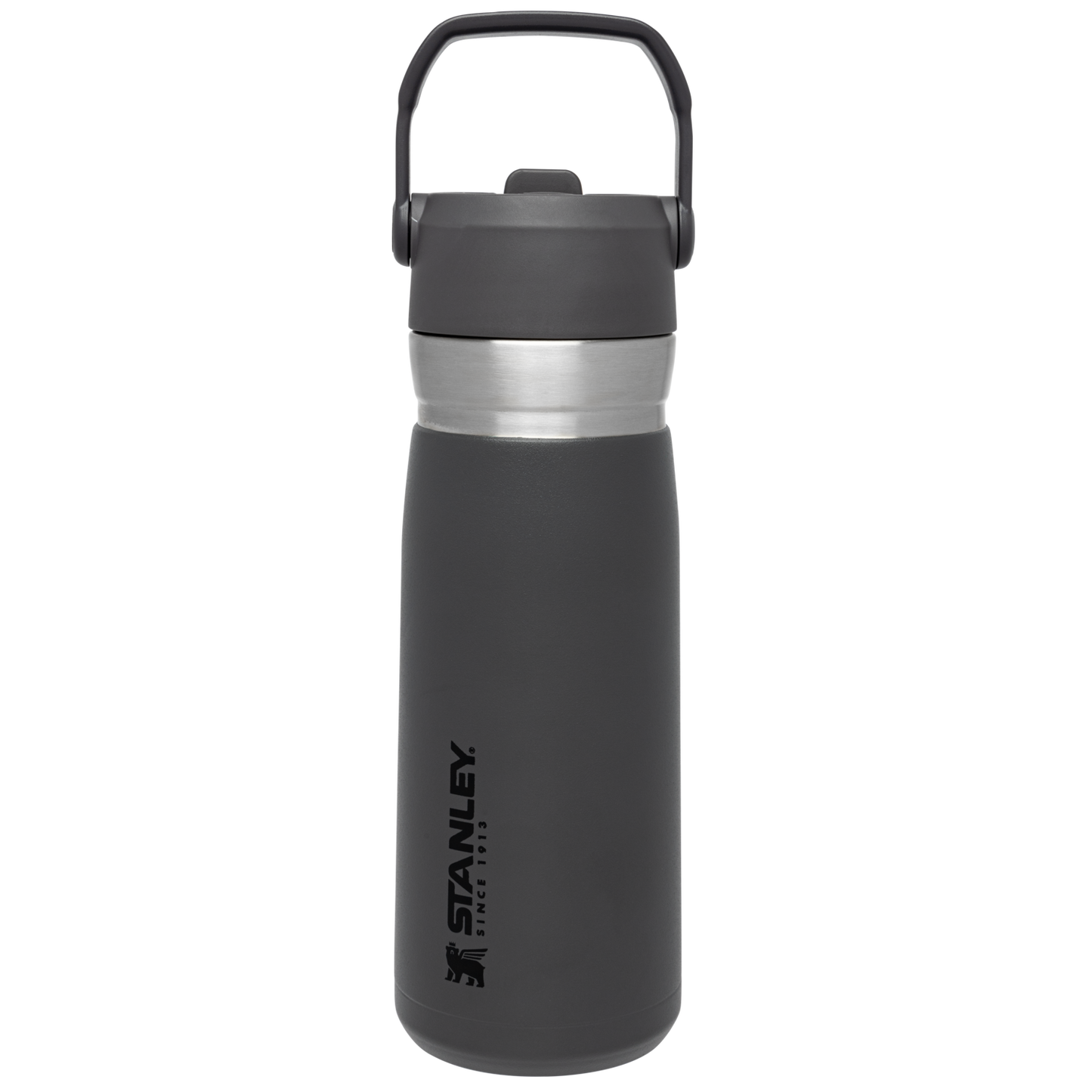 The Go Flip Straw Water Bottle | 22 OZ