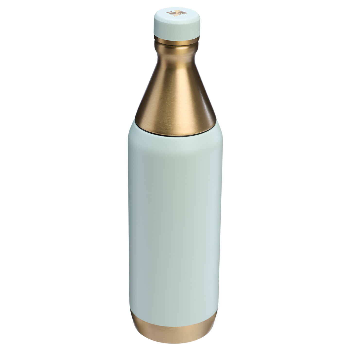 All Day Slim Bottle | 20 OZ